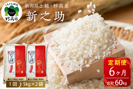 2026年1月下旬より発送【定期便】令和7年産 新潟県上越・妙高産新之助10kg×6回（計60kg）※沖縄県・離島配送不可