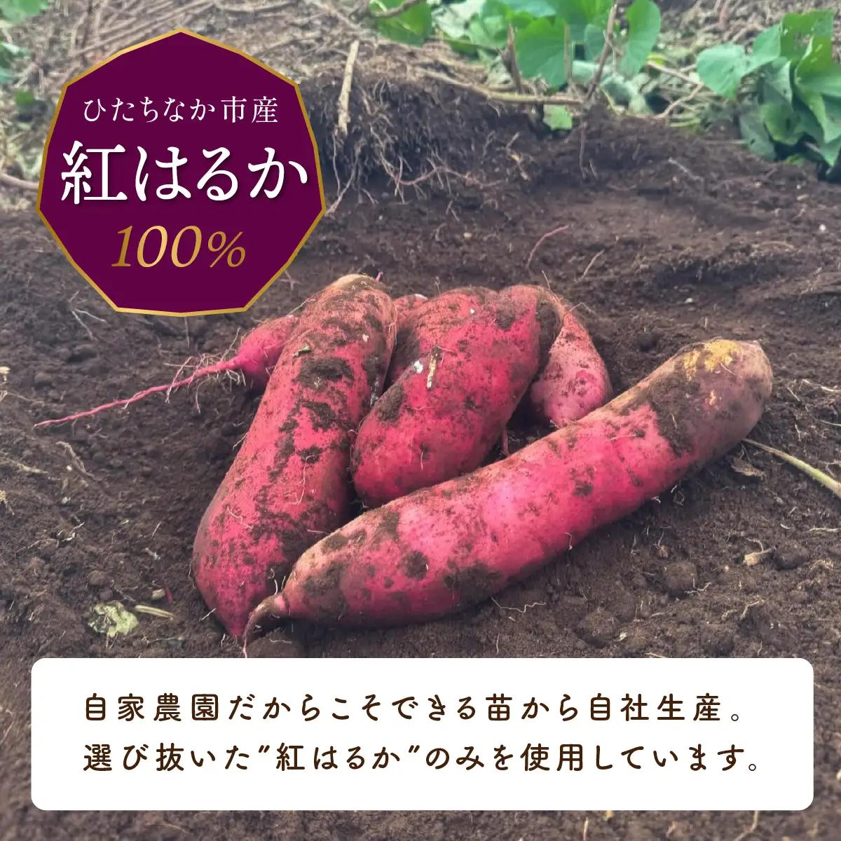 黄金に輝く紅はるかの干し芋 平干し2kg 茨城県 ひたちなか市｜干し芋 紅はるか 平干し