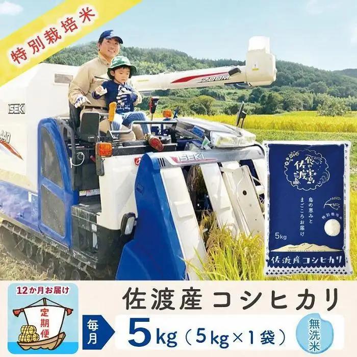 【令和8年産新米 12ヶ月】佐渡島産コシヒカリ 無洗米 5kg 特別栽培米