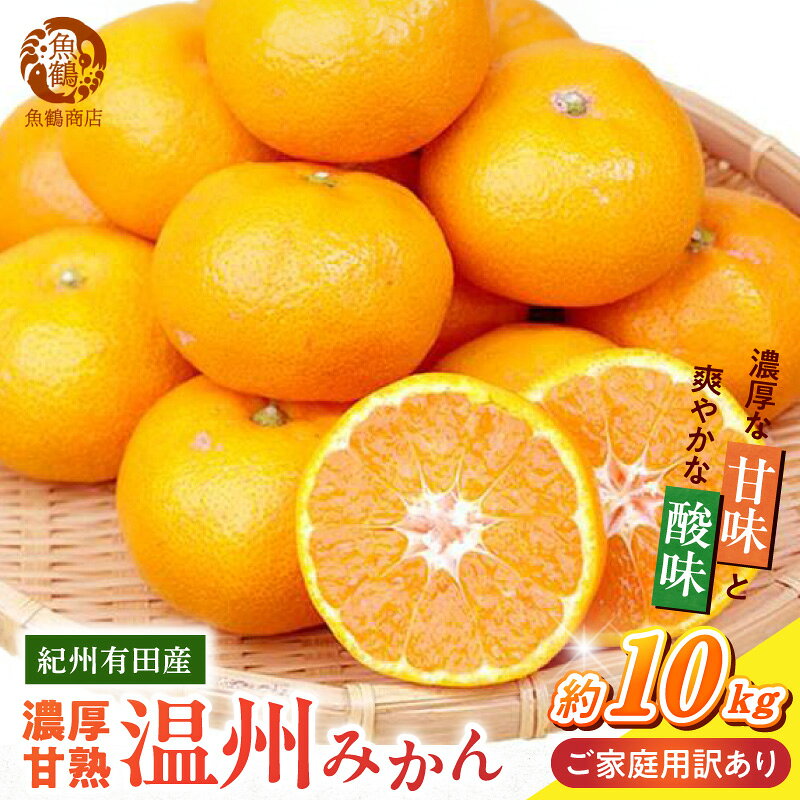 【ふるさと納税】2026年 先行予約 家庭用 訳あり 温州みかん 10kg 濃厚 甘熟 紀州有田産 みかん 果物 フルーツ デザート 柑橘 国産 果実 甘味 酸味 お取り寄せ お取り寄せフルーツ 和歌山県 湯浅町 送料無料