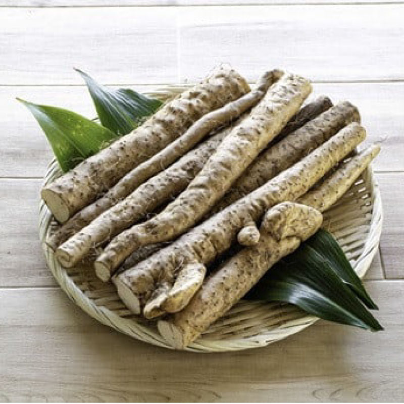 【ふるさと納税】 牧之原 特産 訳あり 自然薯 1.2kg じねんじょ 山芋 とろろ とろろ汁 国産 滋養強壮 強壮 とろろご飯 ご飯のお供 栄養 おいしい 家庭用 贈答 贈り物 ギフト おすすめ 産地直送 牧之原産 お土産 とろろごはん やまいも 野菜 長谷川製茶 静岡県 牧之原市