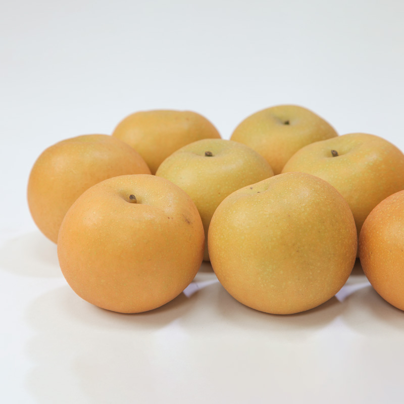 ☆フルーツ王国山形☆和梨 (王秋) 秀品 3kg【令和8年産先行予約】FS24-777