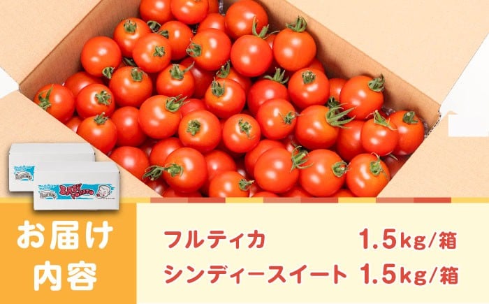 トマト とまと あまい 甘い 新鮮 野菜 おいしい 美味しい 絶品 生鮮