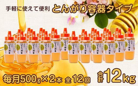 【全12回】 定期便 かの蜂 国産 百花蜂蜜 合計12kg（とんがり容器500gを毎月2本お届け）　024-T006