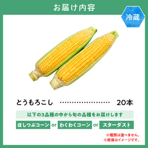 【2026年先行予約】 森本農園 とうもろこし20本セット 
