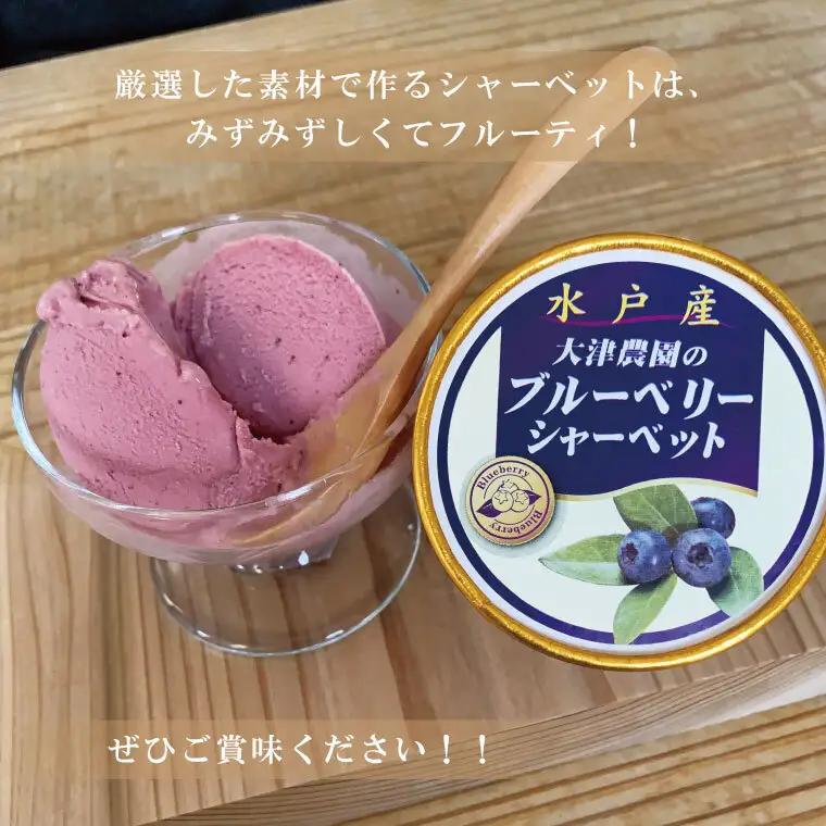 ブルーベリーシャーベット　１２個（FQ-1）
