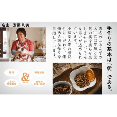 ふるさと納税 小松市 国産大麦のハンバーグ 10個入り 冷凍ハンバーグ 小分け包装 小松市産大麦 |  | 02