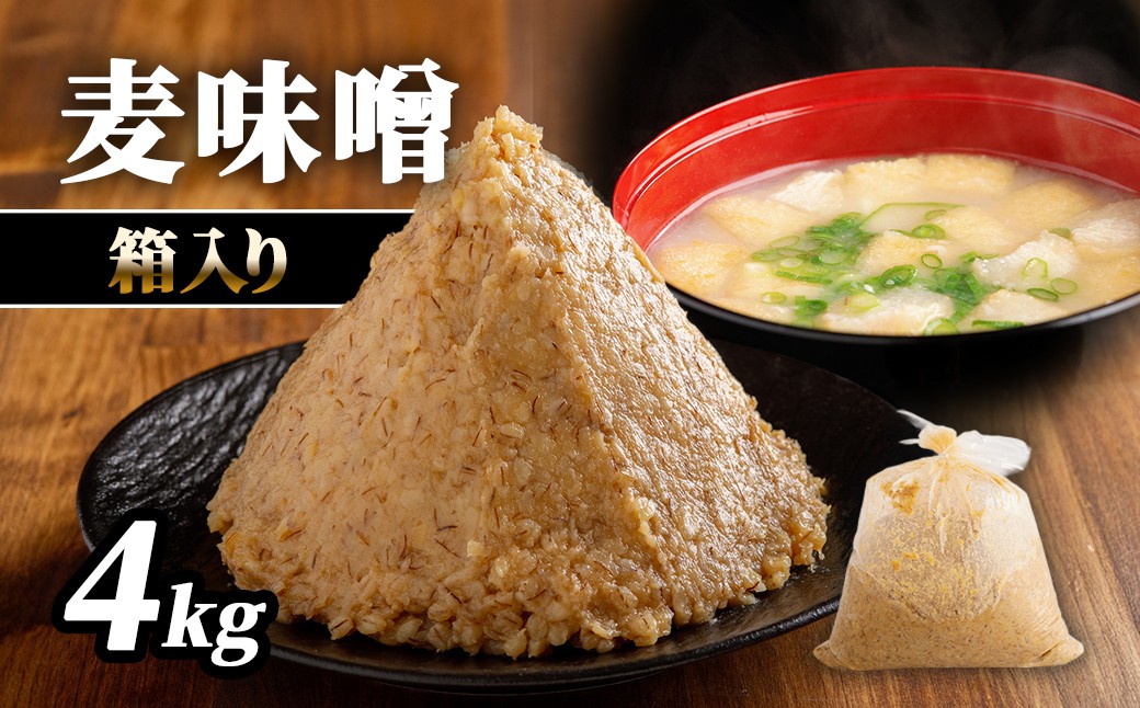 
                  麦味噌4kg箱入り【 ふるさと納税 人気 おすすめ ランキング 味噌 ミソ 麦味噌 甘口 減塩 麹 味噌汁 みそ汁 調味料 愛媛県産 愛媛県 伊方町 送料無料 】IKTBK004
                