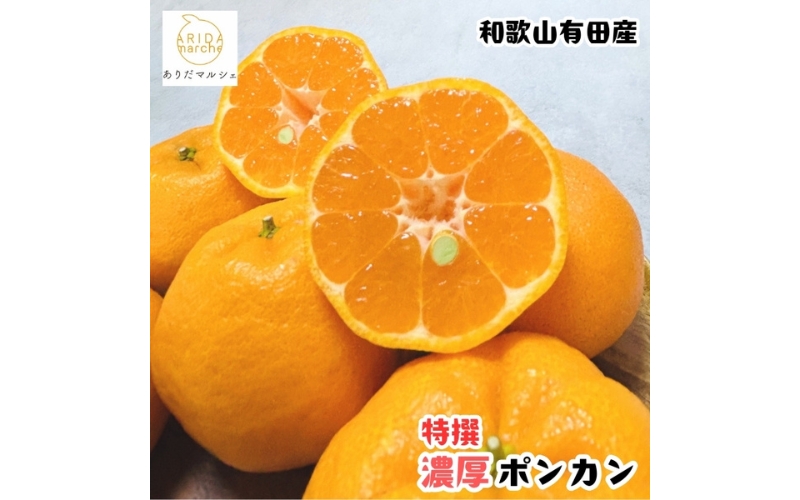 【先行予約】【極甘柑橘】特選 濃厚 ポンカン約3kg+200g(傷み補償分) ※2027年1月上旬～3月上旬に順次発送予定 ※着日指定不可【ard243A】