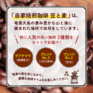 【自家焙煎】豆と麦の人気コーヒー 200g×3種類セット（豆） A017-012-01 自家焙煎コーヒー 詰め合わせ 3種 各200g セット 豆 グアテマラ コロンビア エチオピア ブラジル モカ 