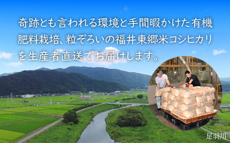 【白米】令和5年産 ふくい東郷米 特別栽培米 農薬70％減 コシヒカリ 10kg 　5kg×２袋　[B-020027_01]