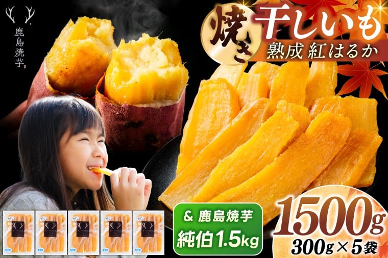 
            鹿島焼芋 純伯1.5kg＆焼き干しいも　1.5kg(300g×5袋）セット【冷凍 ひやし 焼き芋 やきいも 干しいも さつまいも 芋 お菓子 おやつ デザート スイーツ 和菓子 和スイーツ 鹿嶋市 茨城県】（KBK-56-e）
          