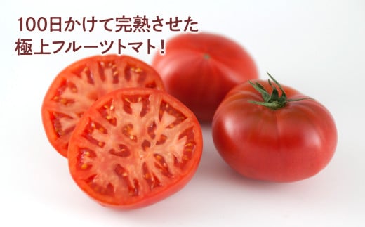 【先行予約】お徳用フルーツトマトＬサイズ 1.2kg・約15玉・Lサイズ〈2027年1月上旬～6月上旬〉 / 糖度8度以上 フルーツトマト ふるーつとまと とまと トマト 箱詰め 甘い 濃厚 高知県 土佐市【池トマト】[BQAG008]