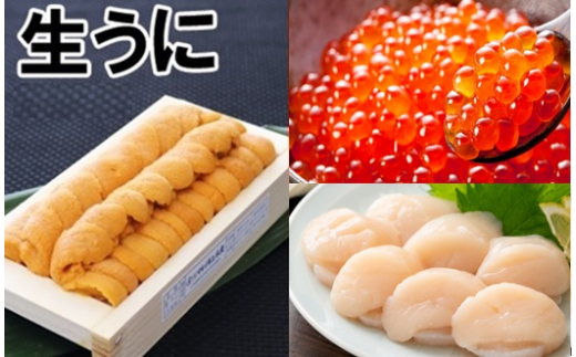 E-71015 エゾバフンウニ140g×1折、いくら醤油漬け(鱒卵)150g×1P、お刺身ホタテ貝柱500g×1P[11月下旬以降発送]