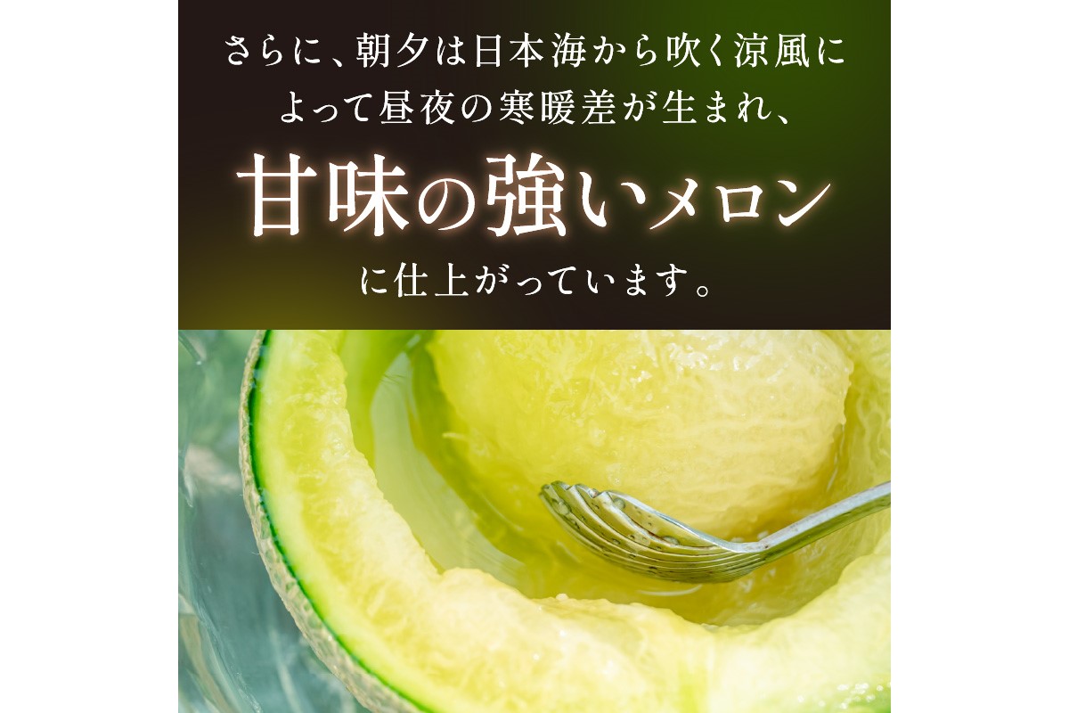 【先行予約／数量限定500】京丹後産 砂丘メロン 大玉2L以上 2玉（2025年7月下旬～発送）　HF00004