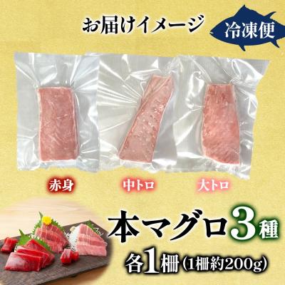 ふるさと納税 深浦町 青森県深浦産天然本マグロ3種(赤身・中トロ・大トロ各1柵)【No.5296-0206】 |  | 03