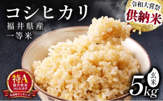 数量限定【令和8年産】福井県産 コシヒカリ 一等米 玄米 5kg [101-a006]