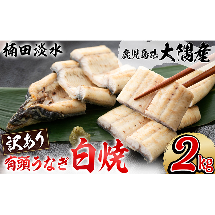 【訳あり】鹿児島県大隅産！楠田の極うなぎ白焼き 有頭2kg（約10尾～14尾） g2-002