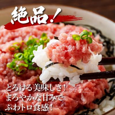 ふるさと納税 芸西村 【毎月定期便】まぐろのネギトロ1食80g個食用8食分(約640g)【t153kyf】全12回 |  | 01