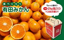 【ふるさと納税】 定期便 【みかん三昧・傷ありコース】有田みかん・食べくらべ3種（各約2kg）| フルーツ 果物 蜜柑 ミカン オレンジ 有田産 和歌山産 産地直送※着日指定不可※10月中旬〜翌年1月下旬頃に順次発送予定