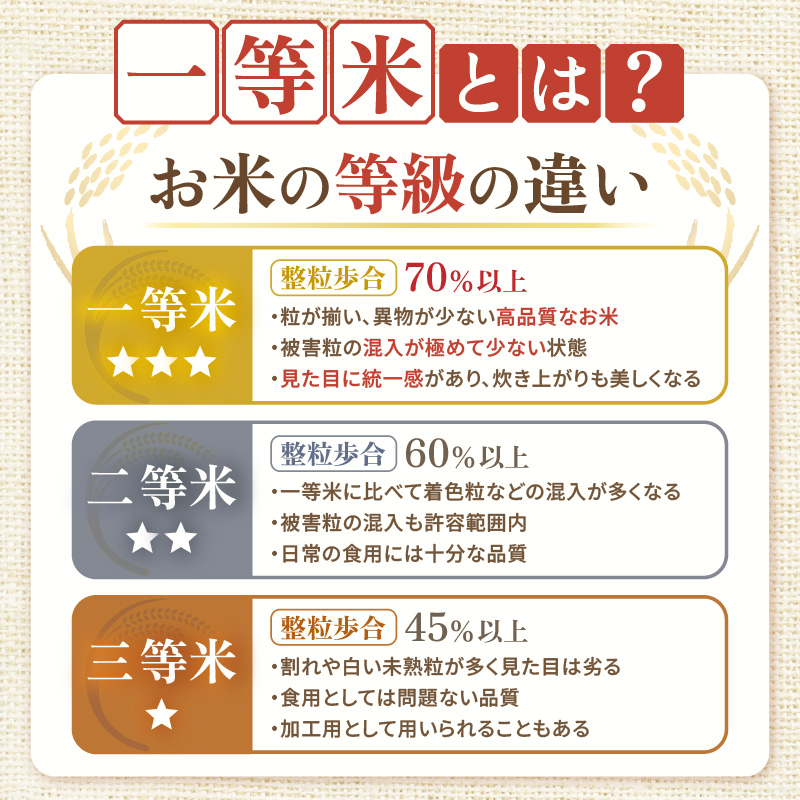 【先行予約】【令和8年産】ハナエチゼン 精米 10kg （長谷川農園）） / 北陸 福井県産 あわら市 ブランド米 白米 お米 コメ ※2026年10月より順次発送予定 [aw139-a004]