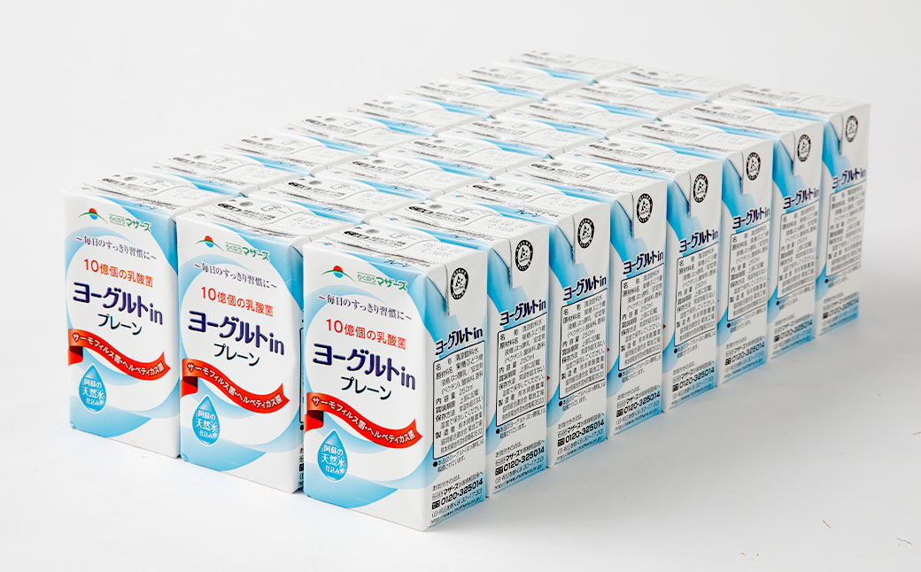 【2ヶ月毎6回定期便】ヨーグルトinプレーン 250ml 計144本（24本×6回）