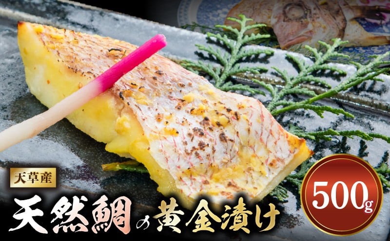 
S011-019_【天草産】天然鯛の黄金漬け 500g
