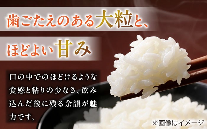 ハツシモ はしつも すし飯 お米 米 こめ 白米 5kg 5キロ