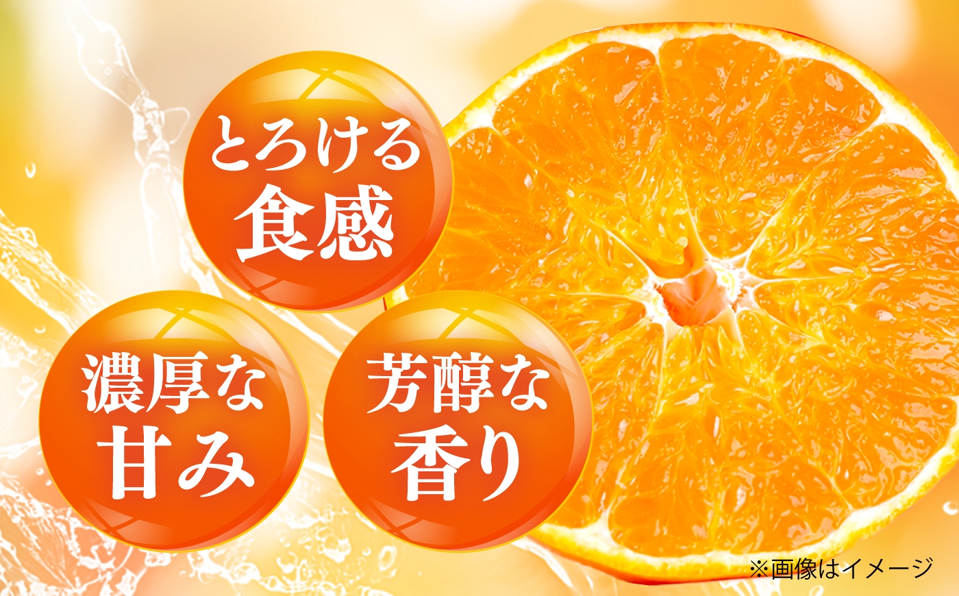 柑橘 蜜柑 みかん ミカン せとか 訳あり 訳アリ 3kg 小玉 愛媛