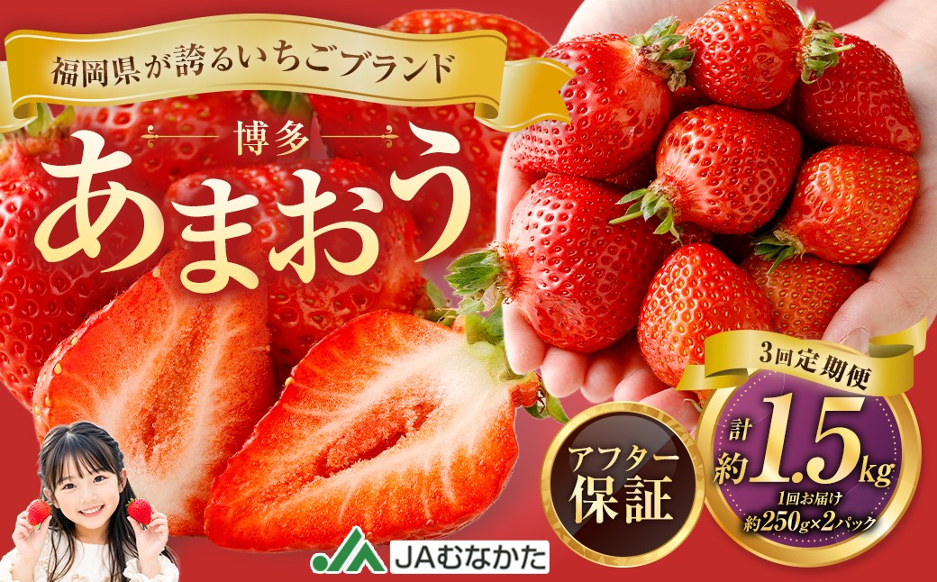 
                  【3回定期便】博多 あまおう 2パック【2027年2月上旬～2027年4月下旬発送予定】
                