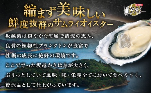牡蠣 生食 坂越かき むき身 500g×3、 殻付き 44個