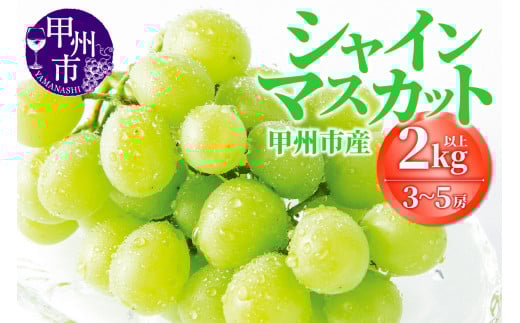 甲州市産シャインマスカット 3～5房（1箱2kg以上）【2026年発送】（OGN）C-1802 【シャインマスカット 葡萄 ぶどう ブドウ 令和8年発送 期間限定 山梨県産 甲州市 フルーツ 果物】