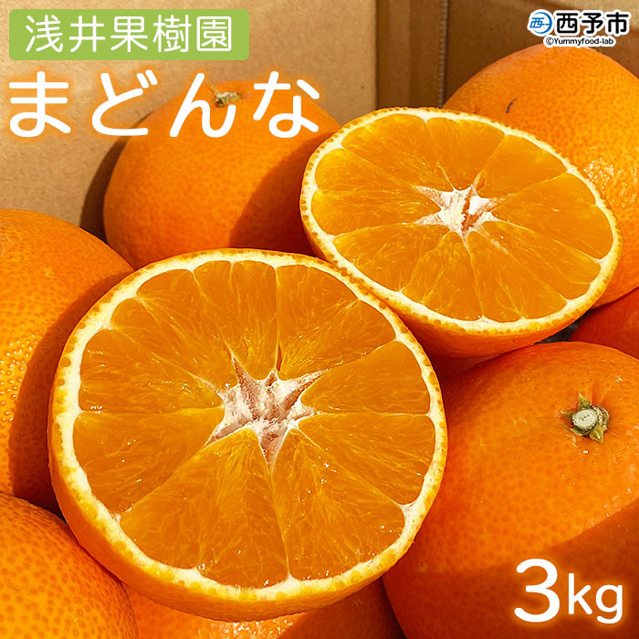 
紅まどんなと同品種！＜浅井果樹園直送 まどんな 約3kg（数量限定）西宇和産 ＞ 紅マドンナ 愛媛果試第28号 柑橘 果物 フルーツ オレンジ 食べて応援 特産品 産地直送 西宇和 愛媛県 西予市【常温】
