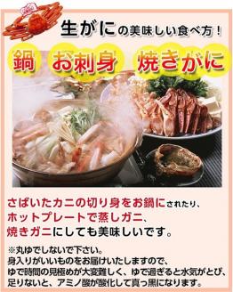 【’26先行予約】鳥取県産　訳あり活松葉がに　2～3枚で1.2ｋｇ以上（1～4本足落ち） [88]