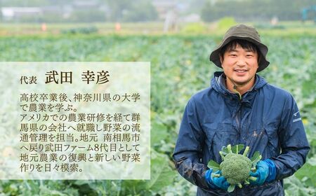 【定期便】にじのきらめき 白米 45キロ (5kg×9回) 令和8年産|定期便 精米 南相馬