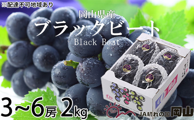 
                  ぶどう 2026年 先行予約 ブラックビート 約2kg 3～6房 ブドウ 葡萄  岡山県産 国産 フルーツ 果物 ギフト 岡山のぶどう 岡山の果物 デザート 食後 種無し 大粒 甘味 酸味 バランス [№5735-1760]
                