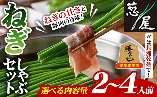 
                  ＜内容量が選べる！＞鉄板バル葱屋の ねぎしゃぶセット(2～4人前)ねぎしゃぶ しゃぶしゃぶ 豚肉 ぶた肉 ぶたにく お肉 鍋セット 乾麺 出汁 だし ポン酢 勝負めし 【110700501・110700801】【葱屋おおくぼ】
                