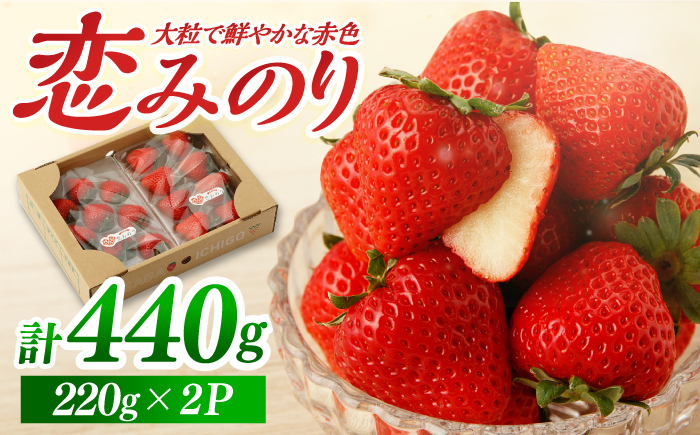 
【先行予約】【農家直送】いちごに想いをのせて『恋みのり』220g×2パック/イチゴ 佐賀県産いちご 苺 フルーツ【鐘ヶ江農園】 [IBH001]
