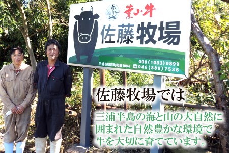 【 神奈川県産 黒毛和牛 】 三浦市 の 佐藤牧場 が育てた 葉山牛 肩ロース すき焼き肉 2P M079-007-01 肉 牛肉 冷凍