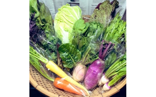 【定期便】那須ブランド 那須高原野菜セット(月2回／5月～12月／全16回) ｜野菜 お野菜 新鮮 詰め合わせ やさい みずみずしい 美味しい 自然 栃木県 那須町〔P-66〕※北海道・沖縄・離島への