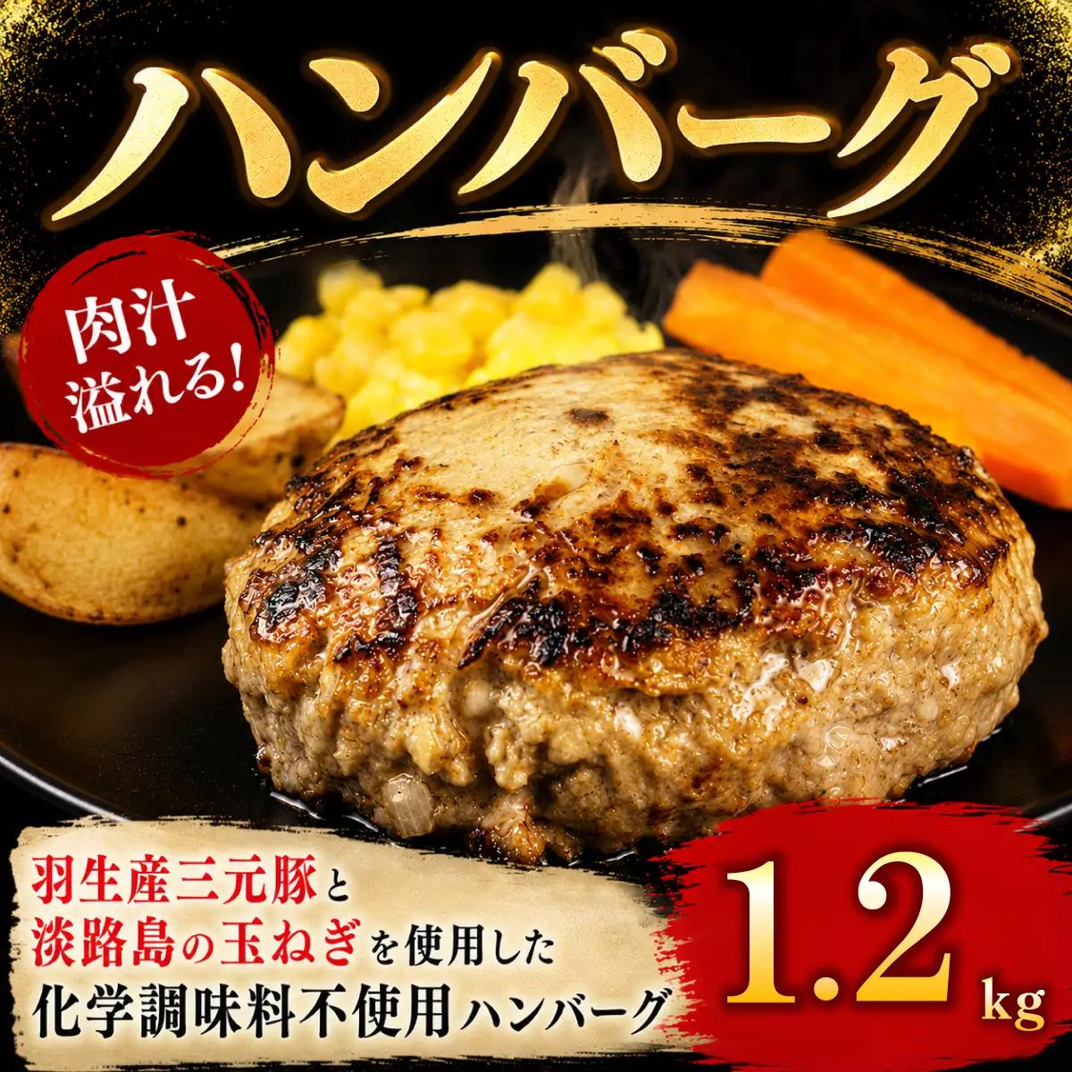定期便 3回 ハンバーグ 1.2kg 個包装 ギフト お歳暮 大判ハンバーグ