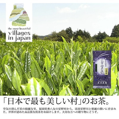 
＜毎月定期便＞奥八女星野村 深蒸し高級煎茶(深蒸し茶)100g×1袋 全6回【4008833】
