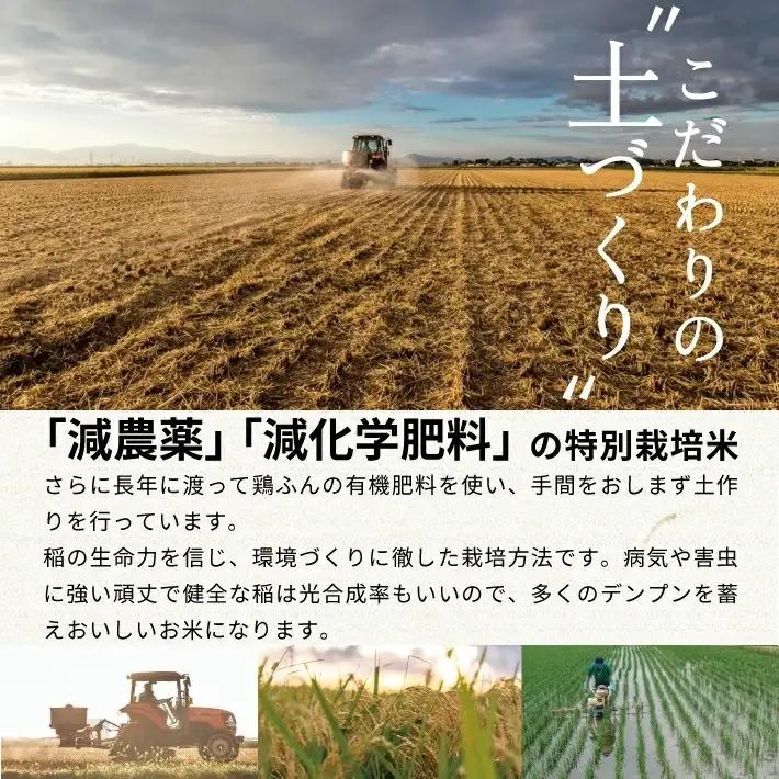 SB1016　12月中旬配送／令和8年産【玄米】　特別栽培米『はえぬき』 10kg(5kg×2袋)［減農薬・減化学肥料］ MA