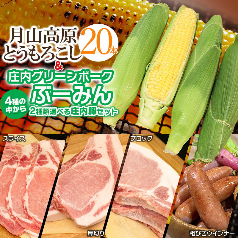 【ふるさと納税】 【令和7年産先行予約】月山高原とうもろこし20本と庄内グリーンポーク“ぶーみん”セット　豚ロース4種（ロースブロック・ロース厚切り・ローススライス・粗びきウインナー）から2種選べます！