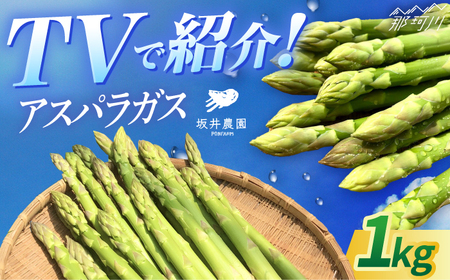 3月より発送！ TVで紹介！アスパラガス 1kg  [GBP001] アスパラ 野菜 アスパラ  