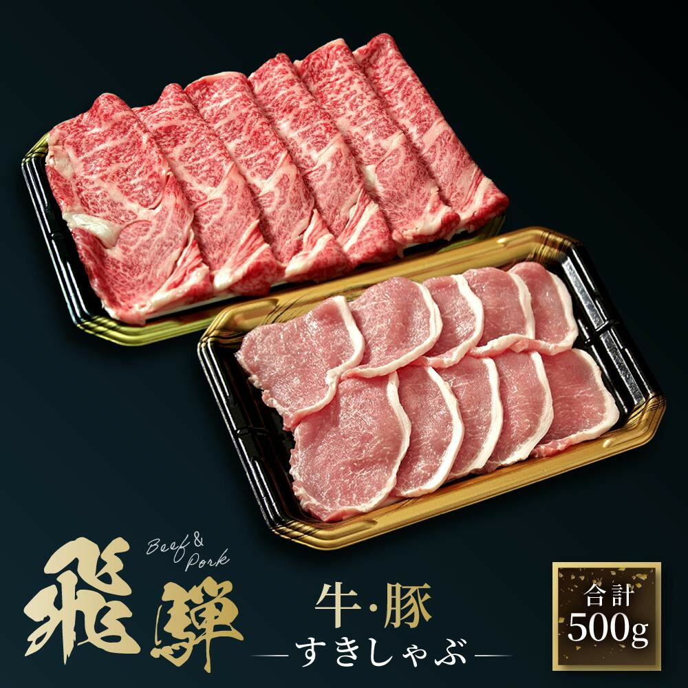 【ふるさと納税】飛騨牛 焼肉 肩ロース200g & 飛騨豚 ロース300g ファミリーストアさとう CY038VP