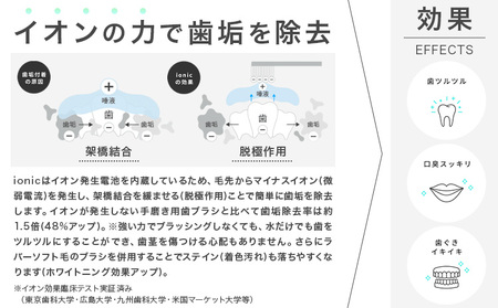 歯ブラシ 本体 2本 替えブラシ 6本 イオン 大人 極細 コンパクト レギュラー ionic アイオニック 持ちやすい