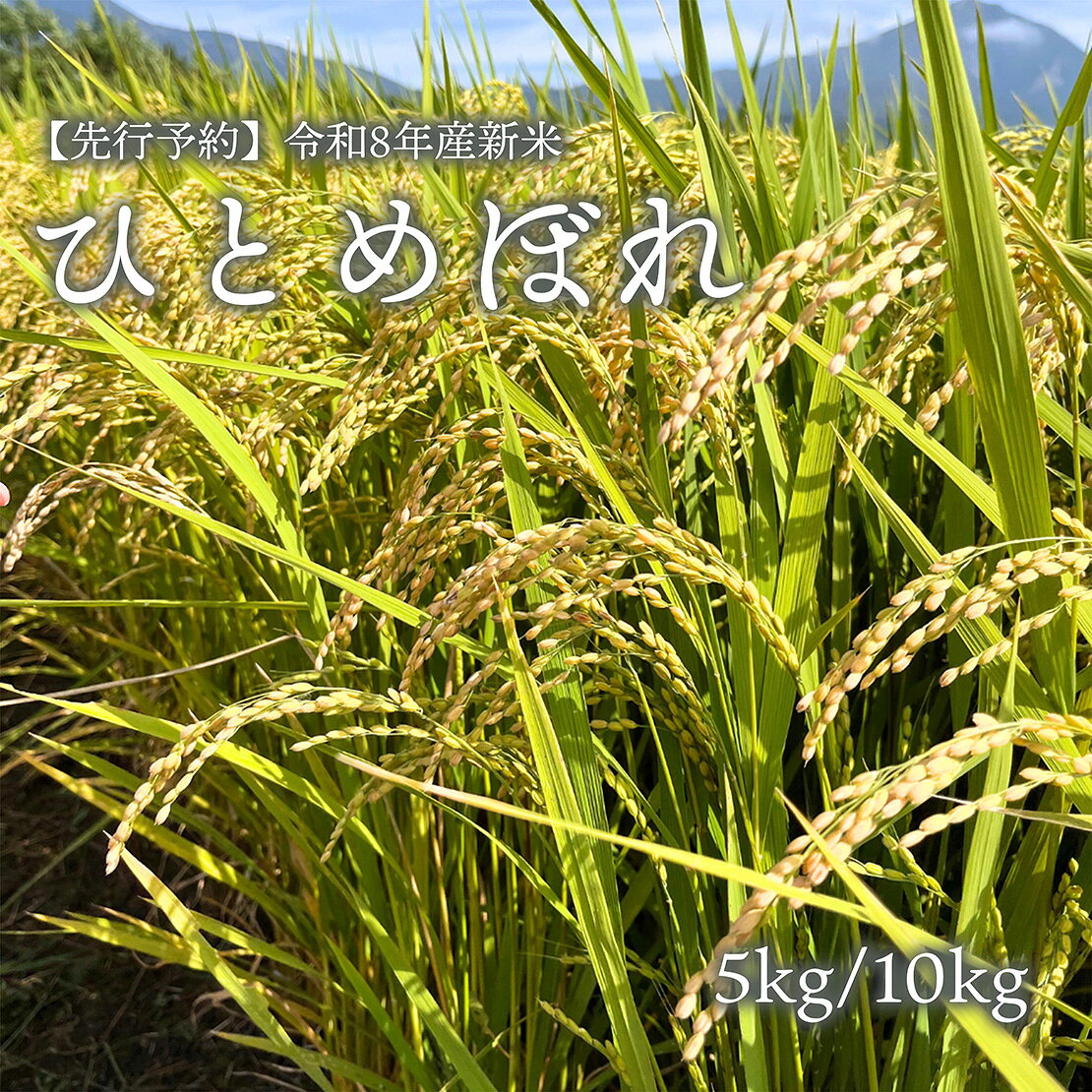 【ふるさと納税】【先行予約】【令和8年産・新米】ひとめぼれ5kg／10kg　磐梯町の名水で育ったひとめぼれ　会津産　磐梯町産　福島県産　精米