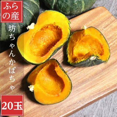 
                  北海道富良野産　坊ちゃんかぼちゃ　20玉【1550083】
                
