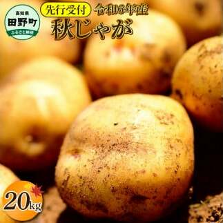 【四国一小さなまちのじゃがいも】★令和6年11月中旬発送開始★ 大野台地で採れた『 令和6年産 秋じゃが 』 20kg